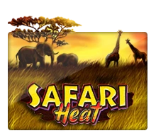 Safari Heat - IDAGENT138