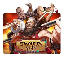 Shaolin - IDAGENT138