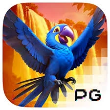 Wings of Iguazu - IDAGENT138