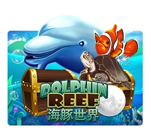Dolphin Reef - IDAGENT138